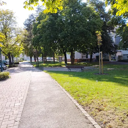 2 Louis - Euroairport - Basel - Train Station *