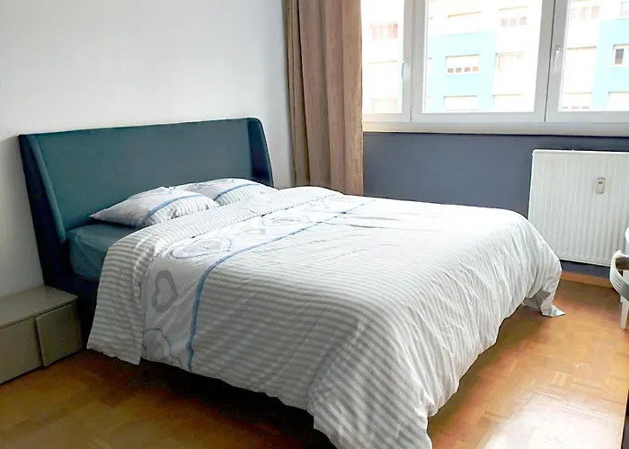 2 Louis - Euroairport - Basel - Train Station *